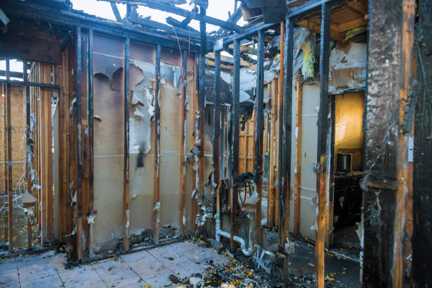 Professional Odor Removal technician working in Covington, IN